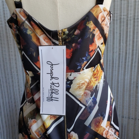 Joseph Ribkcoff - Picture 5 of 6